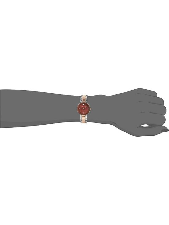 Anne Klein Women\'s Silver And Brown Analog Genuine Diamond Dial Bracelet Watch